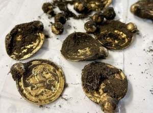 Norwegian Gold